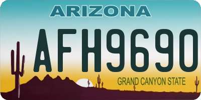 AZ license plate AFH9690