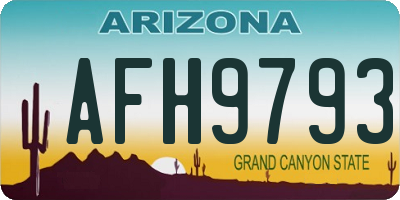 AZ license plate AFH9793
