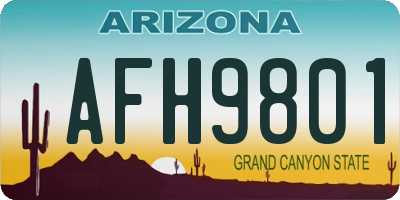 AZ license plate AFH9801