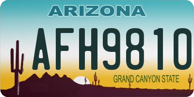 AZ license plate AFH9810