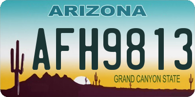 AZ license plate AFH9813
