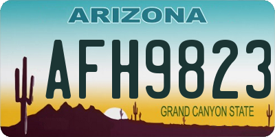 AZ license plate AFH9823