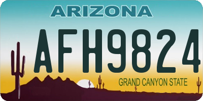 AZ license plate AFH9824