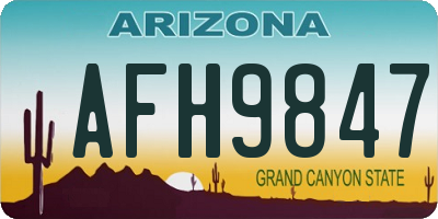 AZ license plate AFH9847