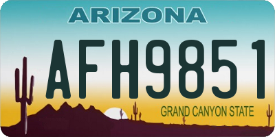 AZ license plate AFH9851