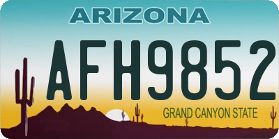 AZ license plate AFH9852