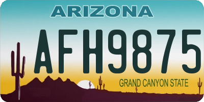AZ license plate AFH9875