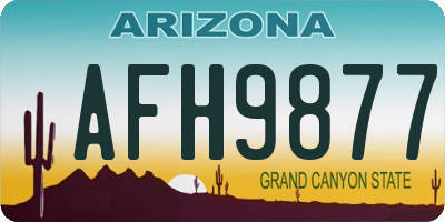 AZ license plate AFH9877