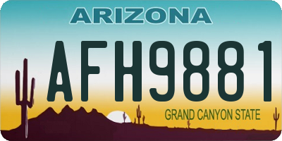 AZ license plate AFH9881