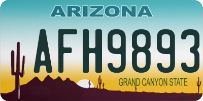 AZ license plate AFH9893
