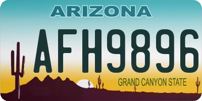 AZ license plate AFH9896