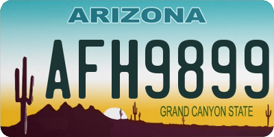 AZ license plate AFH9899