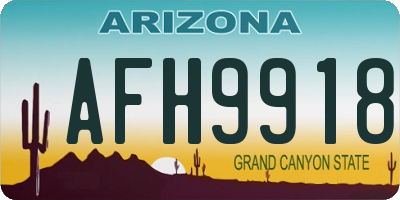 AZ license plate AFH9918