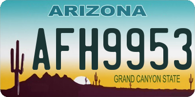 AZ license plate AFH9953