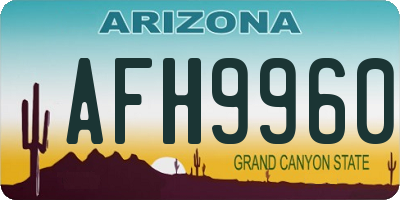 AZ license plate AFH9960