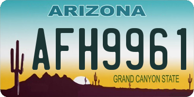 AZ license plate AFH9961