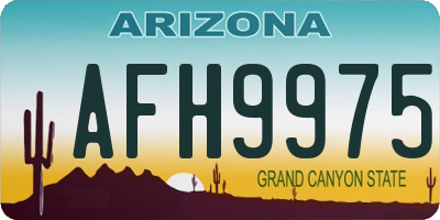 AZ license plate AFH9975