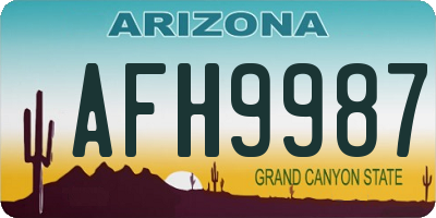 AZ license plate AFH9987