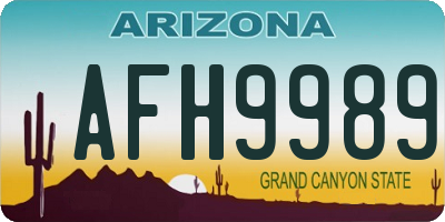 AZ license plate AFH9989