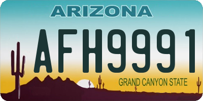 AZ license plate AFH9991