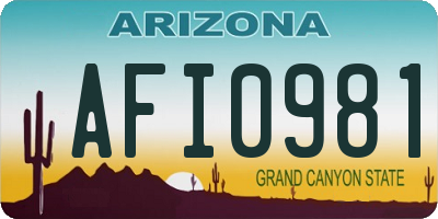 AZ license plate AFI0981