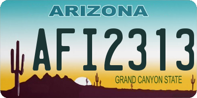 AZ license plate AFI2313