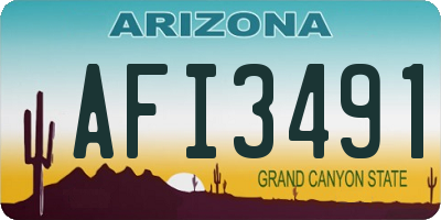 AZ license plate AFI3491