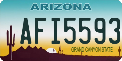 AZ license plate AFI5593