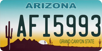 AZ license plate AFI5993