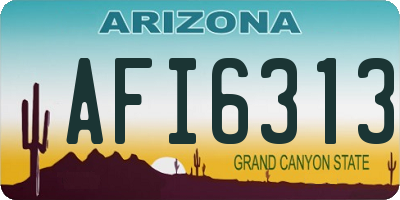 AZ license plate AFI6313