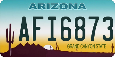 AZ license plate AFI6873
