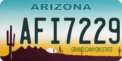 AZ license plate AFI7229