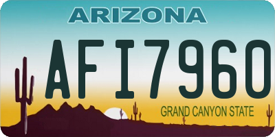 AZ license plate AFI7960