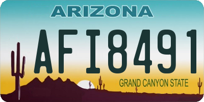 AZ license plate AFI8491
