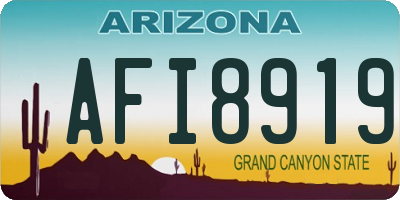 AZ license plate AFI8919