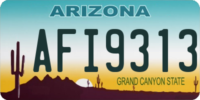AZ license plate AFI9313
