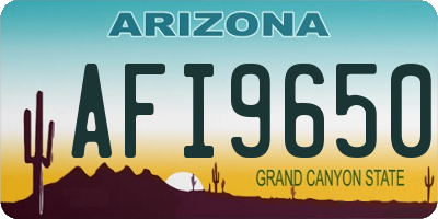 AZ license plate AFI9650