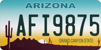 AZ license plate AFI9875