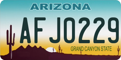 AZ license plate AFJ0229