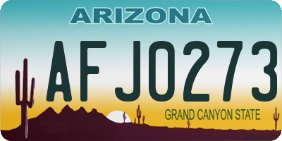 AZ license plate AFJ0273