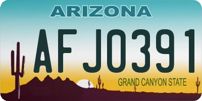 AZ license plate AFJ0391