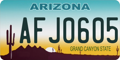 AZ license plate AFJ0605
