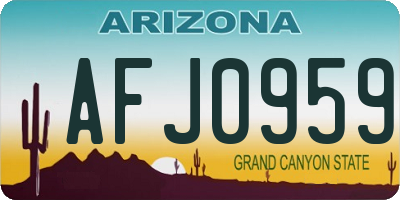 AZ license plate AFJ0959