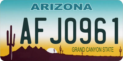 AZ license plate AFJ0961