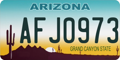 AZ license plate AFJ0973