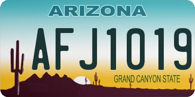 AZ license plate AFJ1019