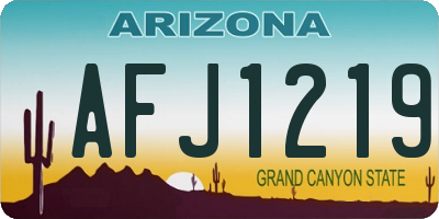 AZ license plate AFJ1219