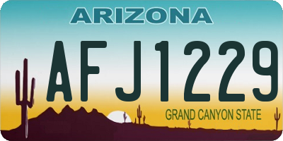 AZ license plate AFJ1229