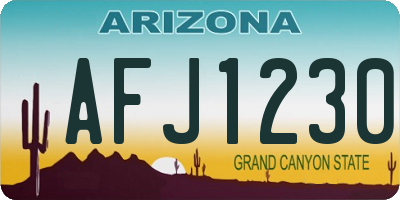 AZ license plate AFJ1230