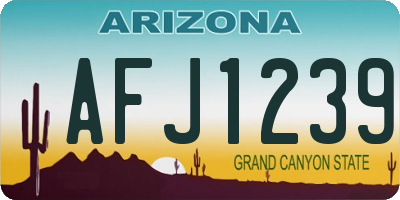AZ license plate AFJ1239